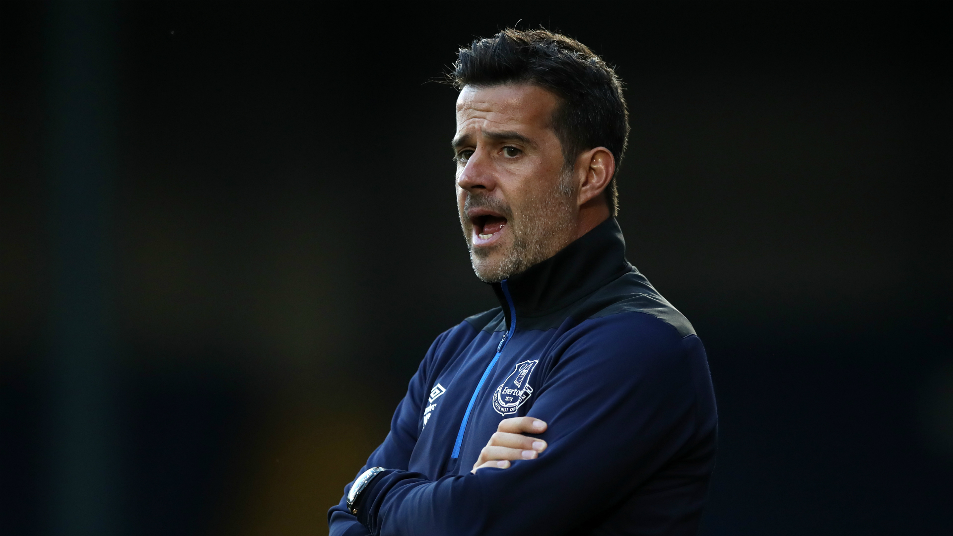 类似的战略 类似的战略