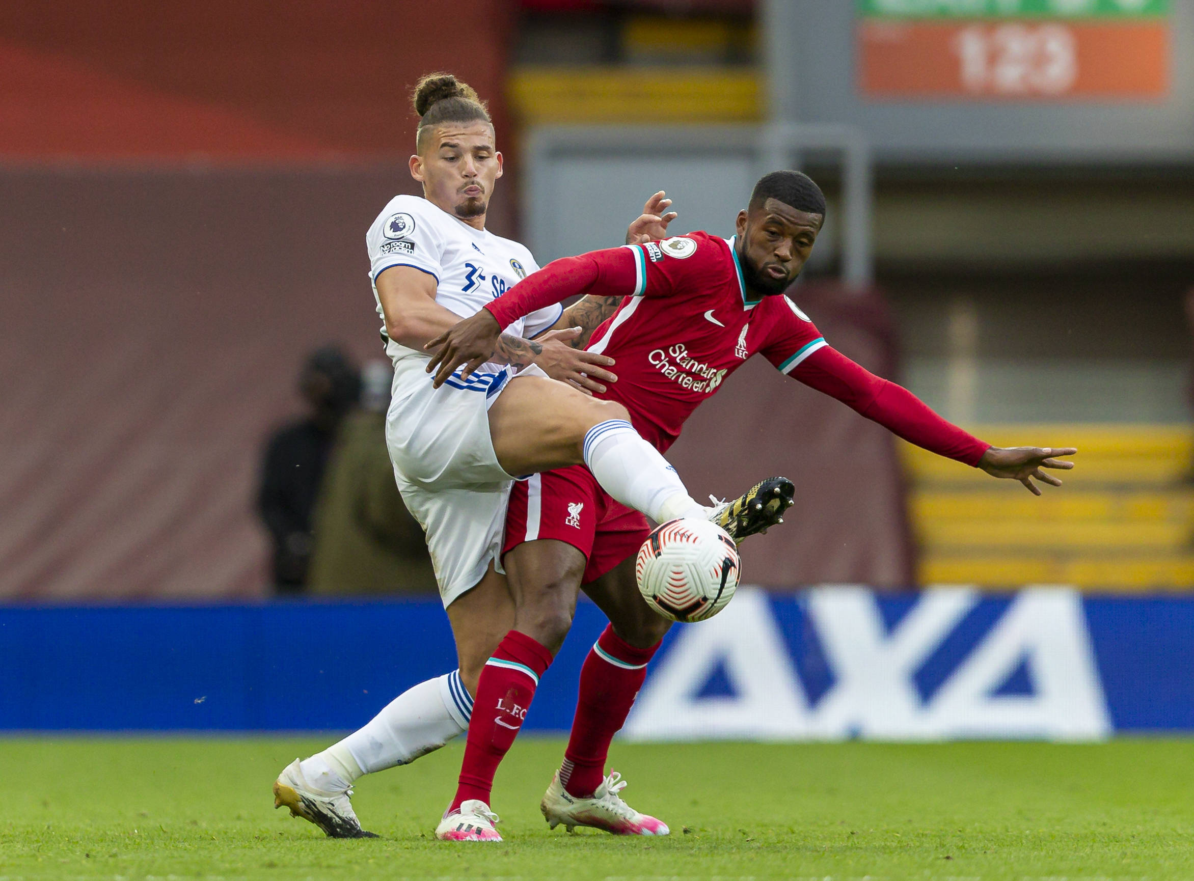 仅可能影响 仅可能影响